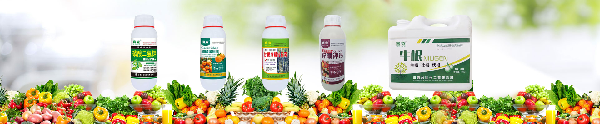 山西臺達(dá)化工有限公司